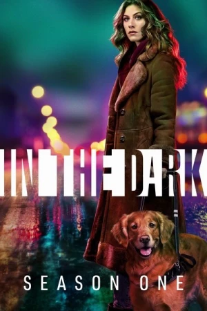  In the Dark (2019) - Saison 1 affiche 