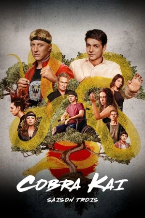  Cobra Kai - Saison 3 affiche 