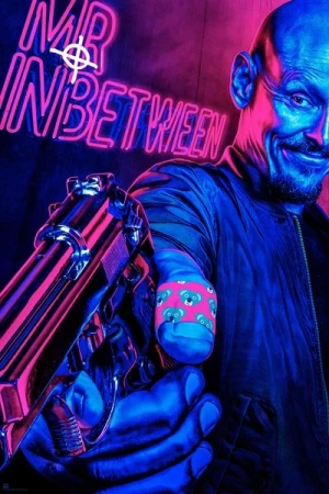  Mr Inbetween - Saison 1 affiche 