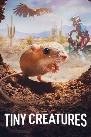  Tiny Creatures - Saison 1 affiche 