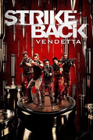  Strike Back - Saison 8 affiche 