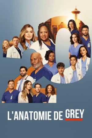  Grey's Anatomy - Saison 20 affiche 