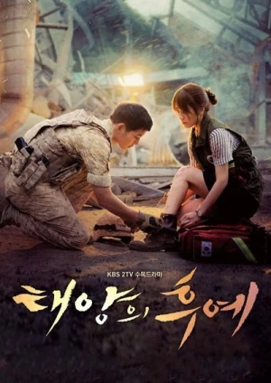  Descendants of the Sun - Saison 1 affiche 