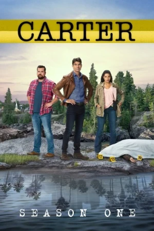  Carter - Saison 1 affiche 