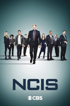  NCIS : Enquêtes Spéciales - Saison 18 affiche 