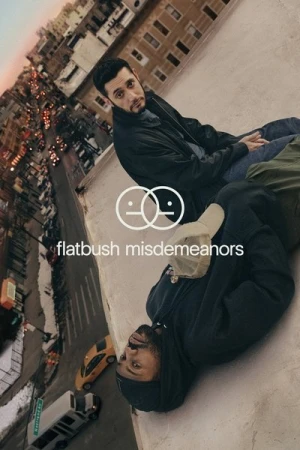  Flatbush Misdemeanors - Saison 1 affiche 