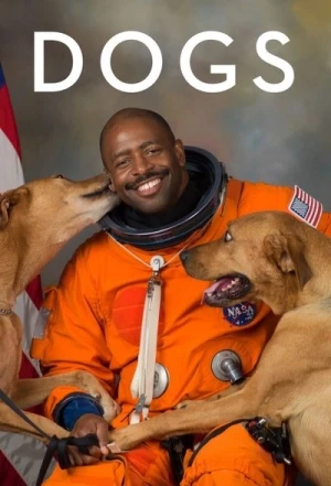  Nos amis les Chiens - Saison 2 affiche 