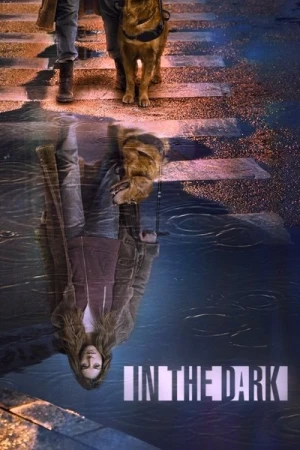  In The Dark (2019) - Saison 2 affiche 