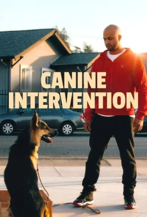  Canine Academy - Saison 1 affiche 