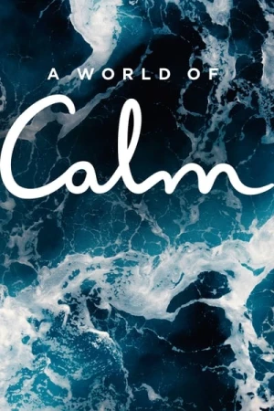  A World of Calm - Saison 1 affiche 