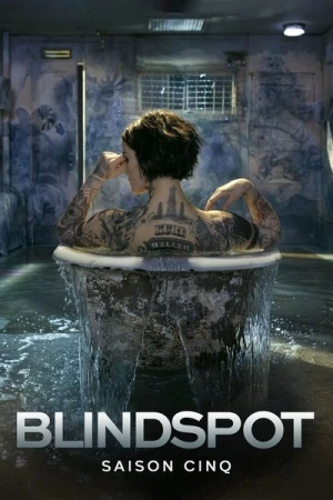  Blindspot - Saison 5 affiche 