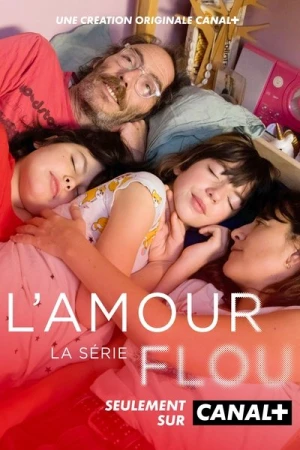  L'Amour Flou - Saison 1 affiche 