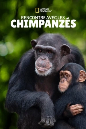  Rencontre avec les chimpanzés (Meet the Chimps) - Saison 1 affiche 