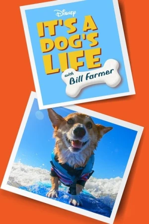  Héros fidèles avec Bill Farmer - Saison 1 affiche 