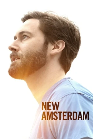  New Amsterdam - Saison 3 affiche 